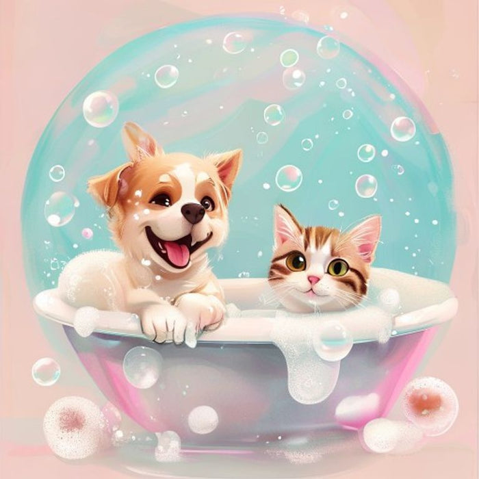 Shampoos & Pflege